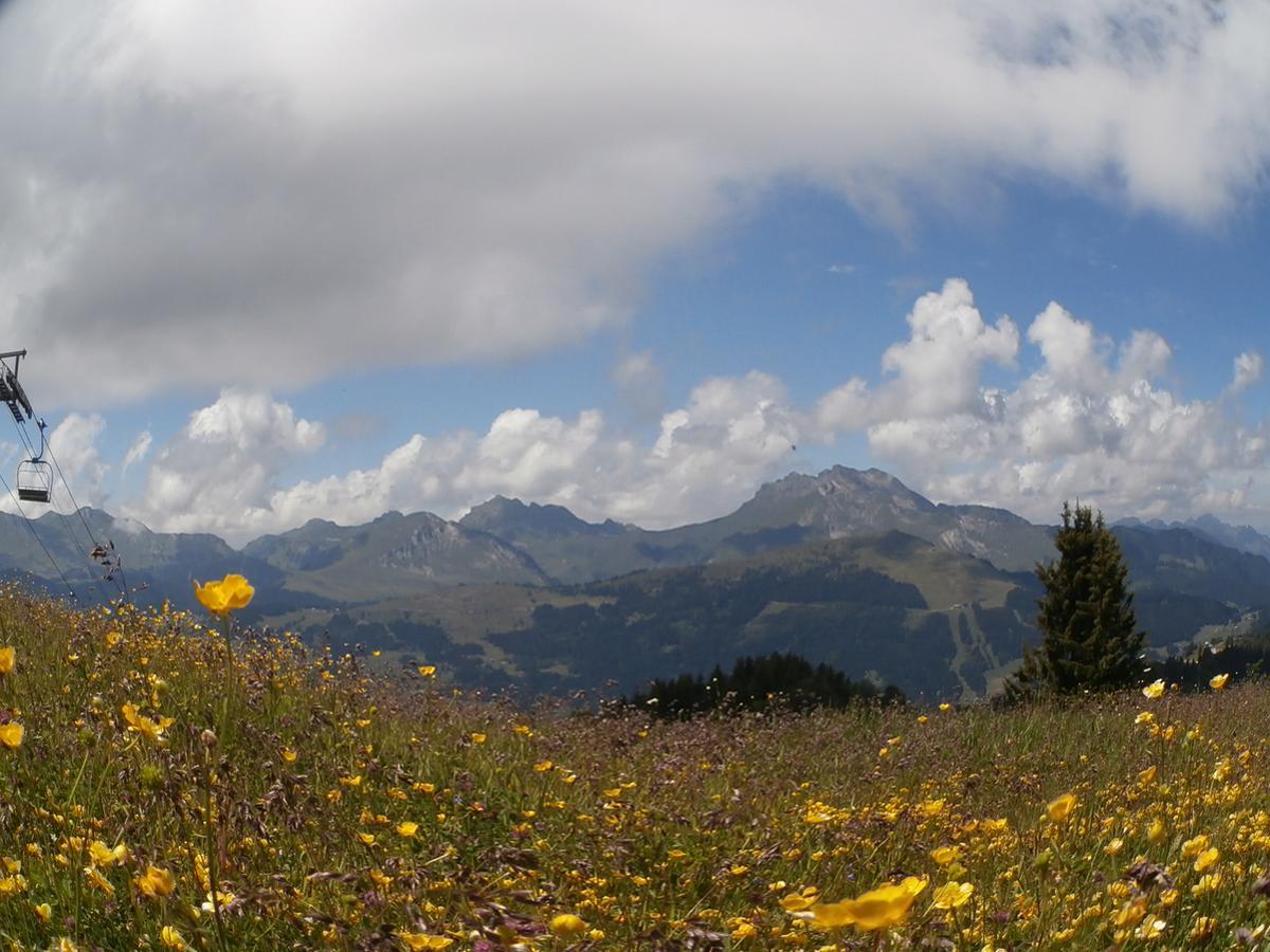 Altitude Lodge 莱热 外观 照片